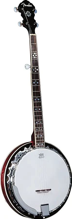 fender acoustic banjo